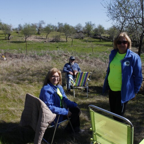 Almendro en flor 2026 (9)